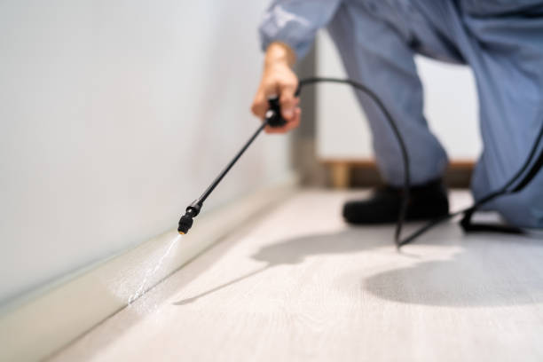 Licensed Termite Control service in Post Falls, ID - Nex Pest Control