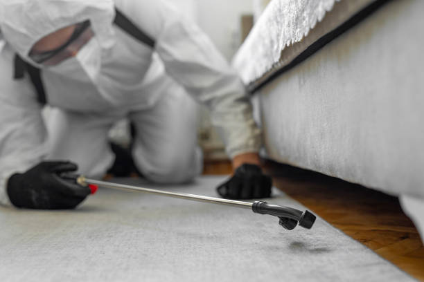 Professional Termite Control technician working in Post Falls, ID
