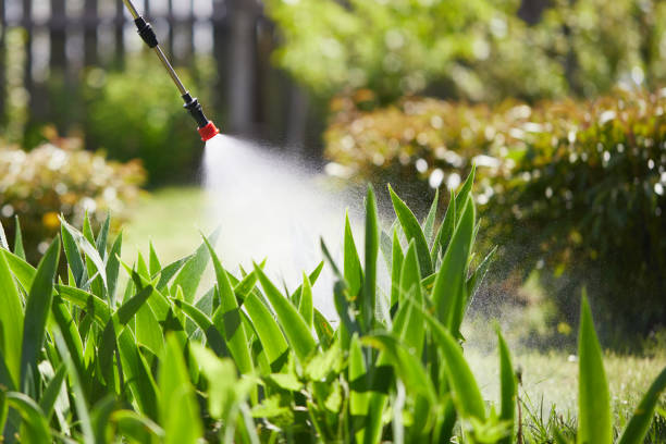 24/7 Emergency Termite Control experts in Post Falls, ID