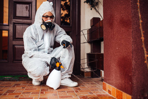 Reliable Termite Control contractor in Post Falls, ID by Nex Pest Control