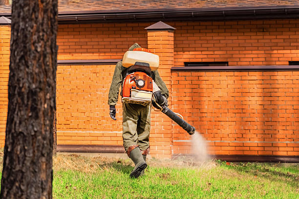 Top rated local Termite Control specialists in Post Falls, ID